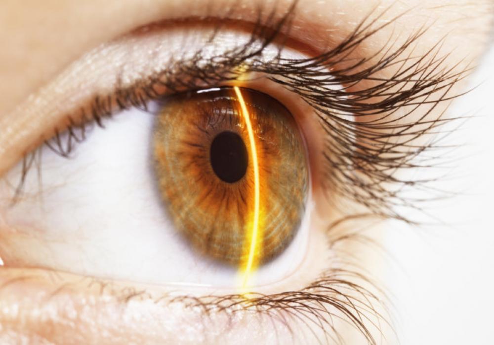 Retina